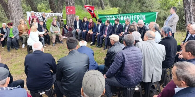 İkizköy Akbelen yarınki dev buluşmayı bekliyor