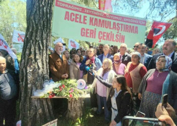 ESRA CEZAEVİNDE BİZ AKBELENDE TUTUKLUYUZ