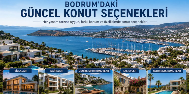 Bodrum’da Ev Alırken En Çok Yapılan Hatalar