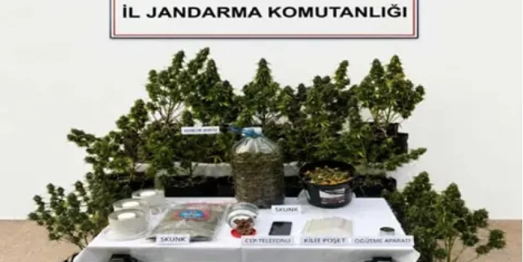 Uyuşturucu operasyonlarında 9 tutuklama