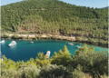 Muğla’nın ormanlarından beton fışkıracak