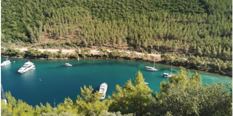 Muğla’nın ormanlarından beton fışkıracak