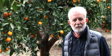 Osman Arkangil, yazdı: Mandalinalara Fısıldayan Adam