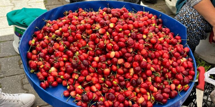 Menteşe Pazarında Kiraz 500 TL ile Sezona Yine Hızlı Girdi