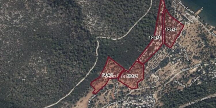 Bodrum Göl Mahallesinde, Ormana Otel Projesine ‘ÇED Olumlu’ Kararı Çıktı!