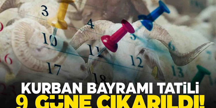 Turizmciler için sevindirici bir oldu