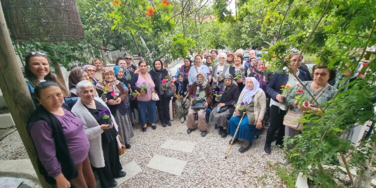 Bodrum’da Ev Alırken En Çok Yapılan Hatalar