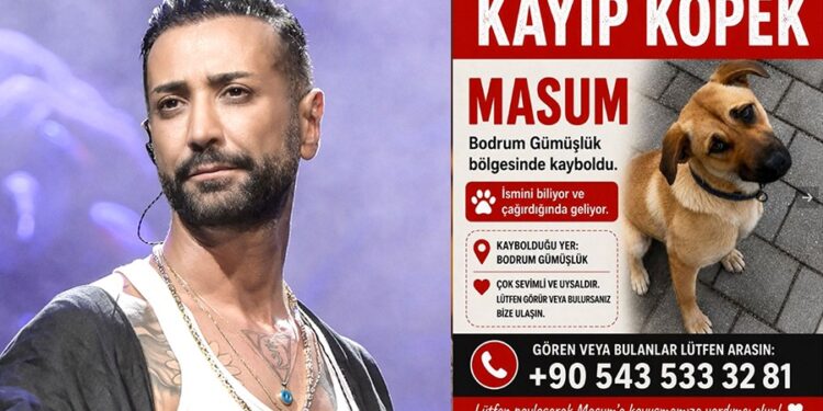 Ünlü Sanatçı Tan Taşçı Kaybolan Köpeğini Arıyor