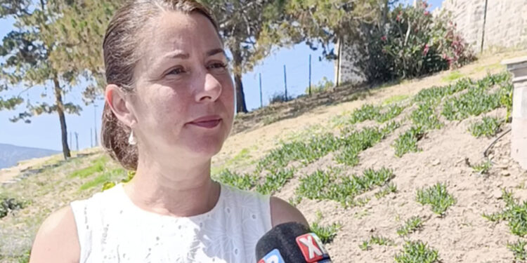 Bodrum Denizciler Derneği Başkanı Altunkaya: “Sezona Yüzde 60 Kayıpla Başlıyoruz”