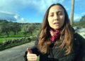 Esra Işık Akbelen mücadelesinde savunmaya hazırlanıyor