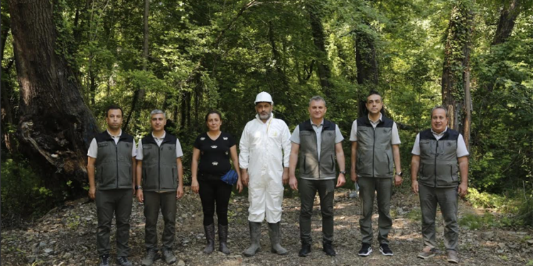 Dünyada Sadece 3 Bölgede Yetişiyor!