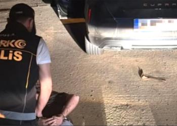Kırmızı bültenle aranan Alman uyruklu Bodrum’da yakalandı