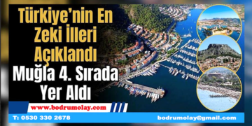 Muğla’nın IQ ortalaması belli oldu!