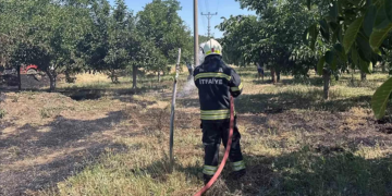 Menteşe’de Elektrik Akımına Kapılan Kuş Yangına Neden Oldu