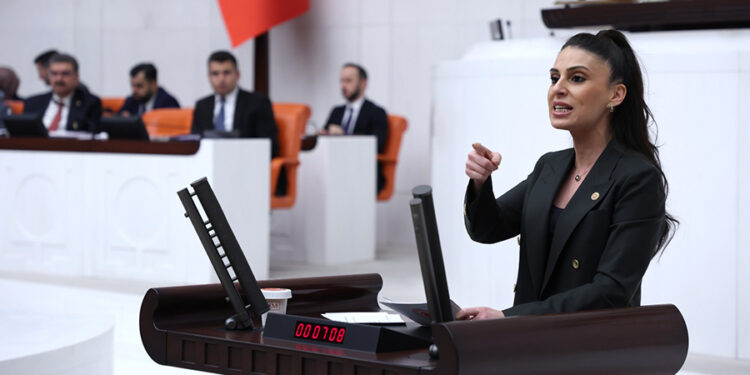 Muğla Milletvekili Gizem Özcan: “Açlık sınırının altında asgari ücret olamaz!”