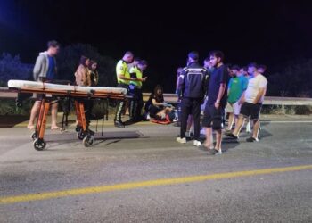 Torba’da motosiklet domuz sürüsüne daldı,2 genç yaralandı
