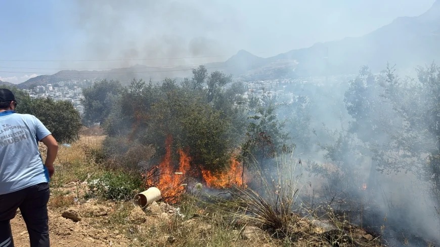 Hava sıcaklığı birden arttı Bodrum alev alev yandı