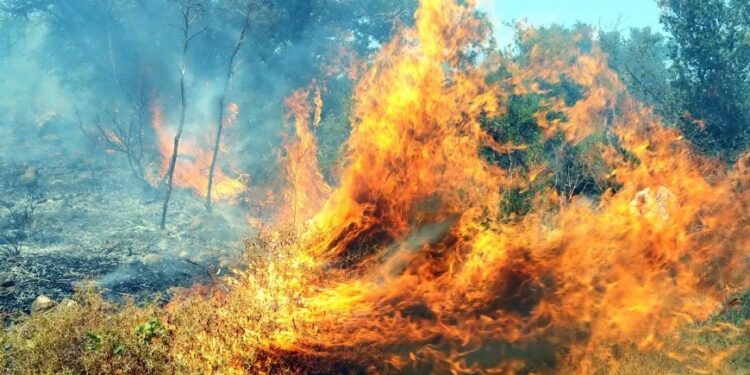 Hava sıcaklığı birden arttı Bodrum alev alev yandı