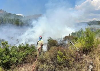 Marmaris’te Yıldırımın Çıkardığı Yangın Büyümeden Söndürüldü
