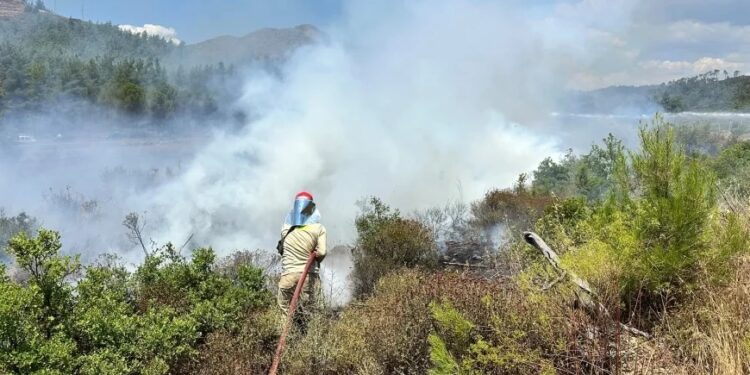 Marmaris’te Yıldırımın Çıkardığı Yangın Büyümeden Söndürüldü