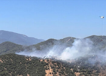 Muğla’nın Milas ilçesinde makilik alanda yangın çıktı