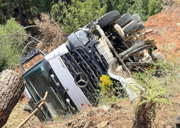 Akdeniz Foku’nun motoryat keyfi