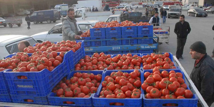 Ocak-Mayıs döneminde Muğla ihracatı yüzde 6,5 arttı