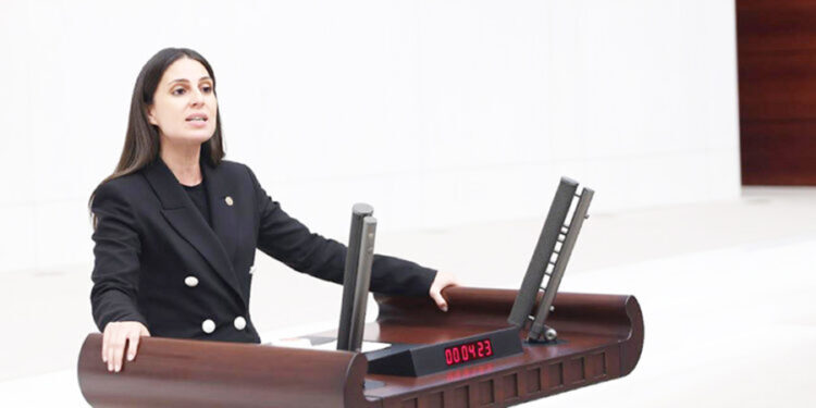 Gizem Özcan: “Muğla’nın tamamını madencilik baskısı altına sokan anlayışta ısrar ediliyor!”
