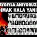 Otomobil Piyasasında Flaş Karar! 6 Ay 6 Bin Km Kısıtlamasının Süresi Uzatıldı