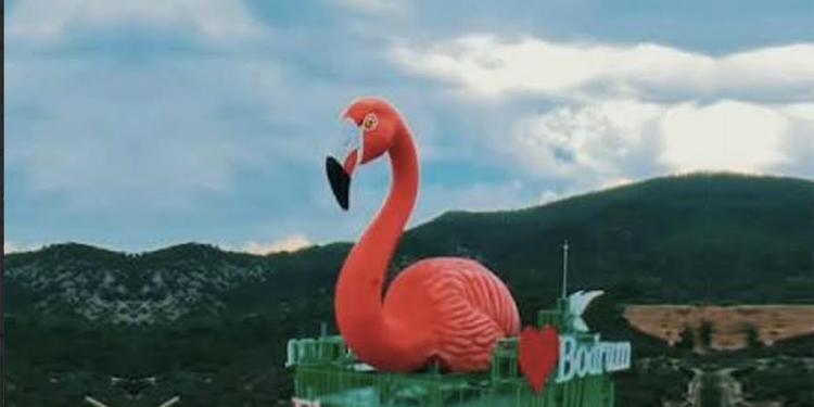 TMMOB Bodrum’dan, Çelik Flamingo Kulesine Büyük Tepki