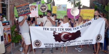 Bodrumlu hayvanseverlerden sokak köpeğine kötü davranan turistik işletmeye eylem ve protesto
