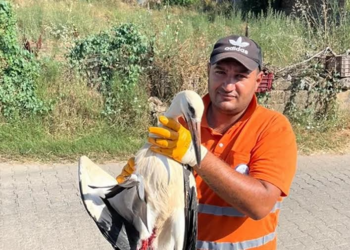 Yaralı leyleğin umudu belediye temizlik işçisi oldu