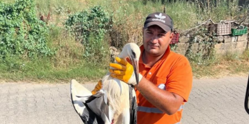 Yaralı leyleğin umudu belediye temizlik işçisi oldu