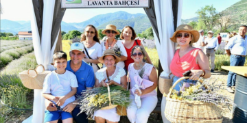 Fethiye’de lavanta bahçesinde hasat heyecanı yaşandı