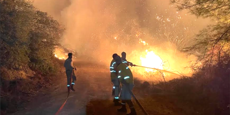 Bodrum Gönüllüleri’nden Yangın Riskine Karşı Duyarlılık Çağrısı
