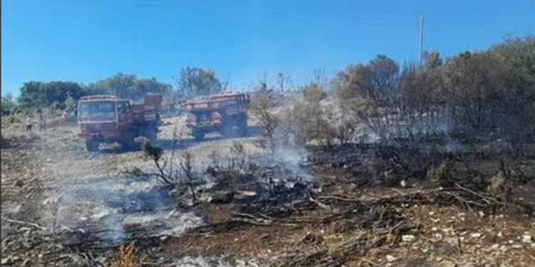 Menteşe’de Çıkan Yangın Kontrol Altına Alındı