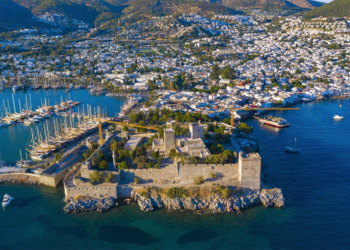 Osman Arkangil, yazdı: BODRUM’DA HER ŞEY DAHİL… GIDA GÜVENLİĞİ HARİÇ Mİ