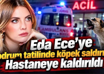 Bodrum’da Motor Sürerken Köpek Saldırısına Uğrayan Eda Ece Hastaneye Kaldırıldı