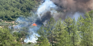 Muğla- Dalaman İnlice’de Orman Yangını Çıktı, Kuvvetli Rüzgar Müdahaleyi Zorlaştırıyor