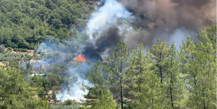 Muğla- Dalaman İnlice’de Orman Yangını Çıktı, Kuvvetli Rüzgar Müdahaleyi Zorlaştırıyor