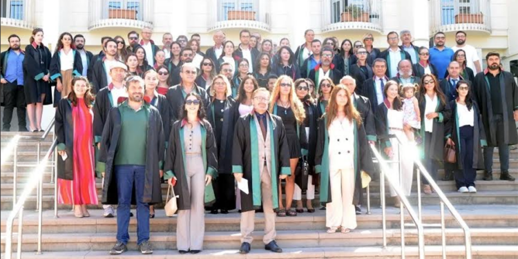 Bodrumlu Avukatlardan Sokak Hayvanlarını Hedef Gösteren Paylaşımlara Suç Duyurusu