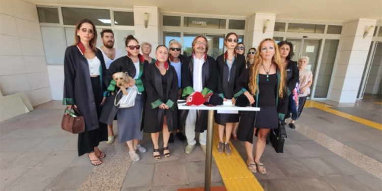 Bodrum’da 111 avukat sokak hayvanlarının hedef gösterilmesi nedeniyle suç duyurusunda bulundu