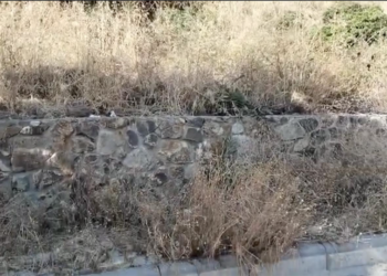 Bodrum Diken Üstünde: Kuru Otlar Yangın Riskini Artırıyor!