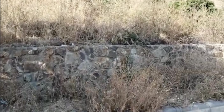 Bodrum Diken Üstünde: Kuru Otlar Yangın Riskini Artırıyor!
