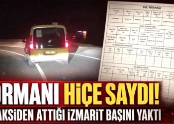 Ormanı hiçe saydı! Araçtan attığı sigara izmariti başını yaktı!