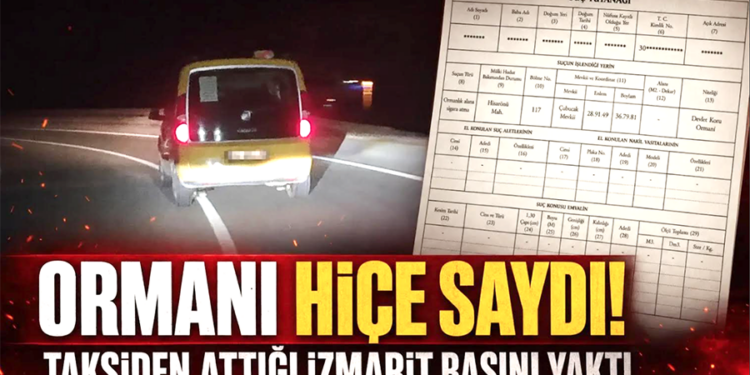 Ormanı hiçe saydı! Araçtan attığı sigara izmariti başını yaktı!