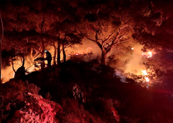 Marmaris’te yangına sebep olan şüpheli belediye işçisi çıktı