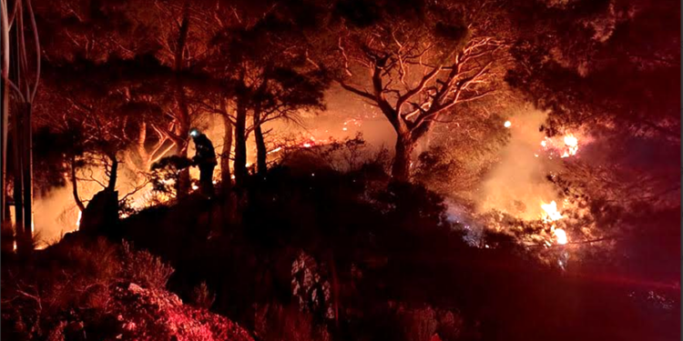 Marmaris’te yangına sebep olan şüpheli belediye işçisi çıktı