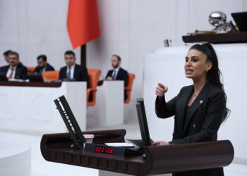 CHP Muğla Milletvekili Avukat Gizem Özcan’dan Kadem Mete’ye Yanıt