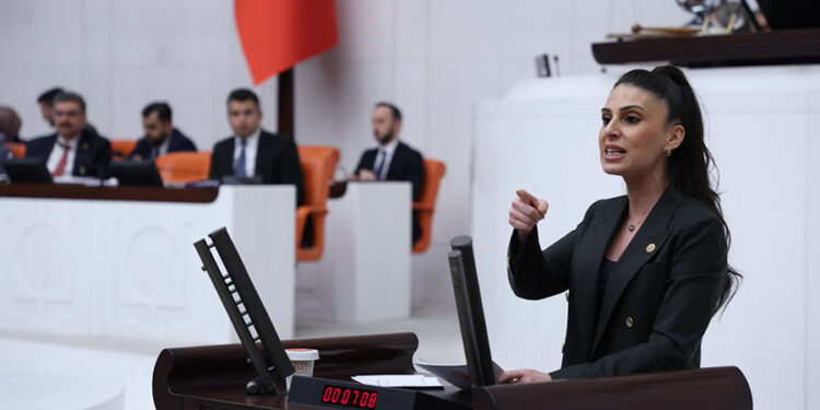 CHP Muğla Milletvekili Avukat Gizem Özcan’dan Kadem Mete’ye Yanıt